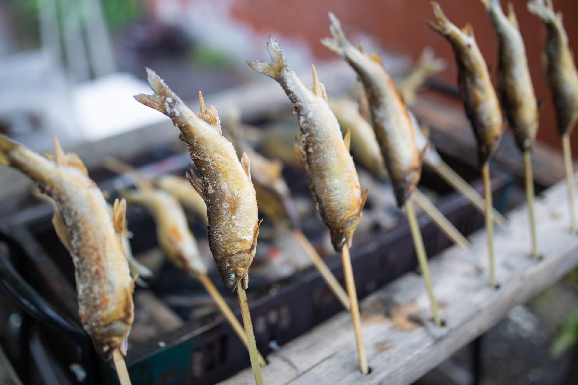 Freshwater fish on skewers cooking over hot coal barbecue