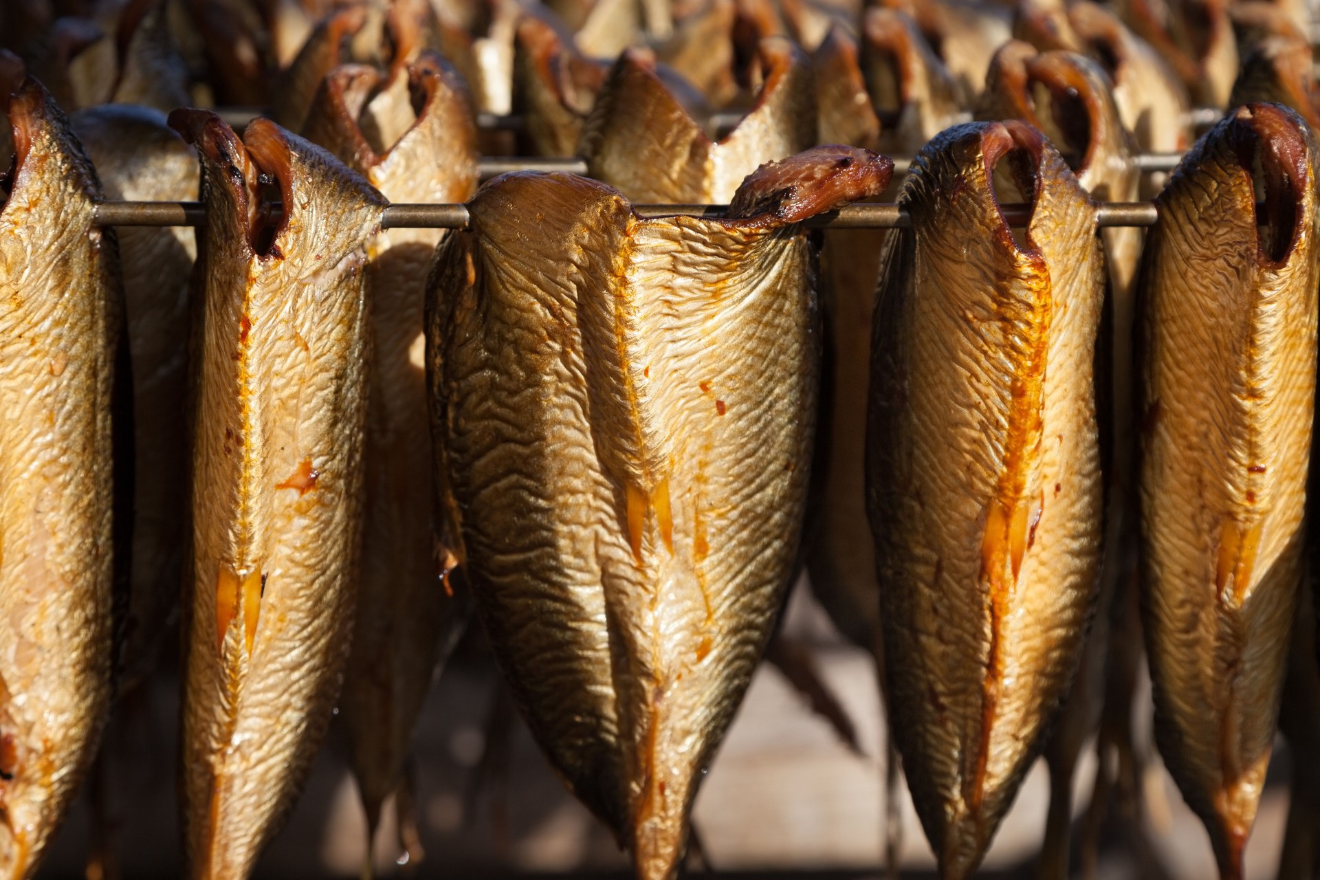 Smoked Kipper / Herring